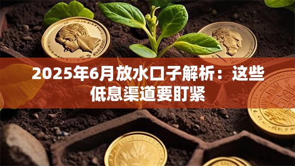 2025年6月放水口子解析：这些低息渠道要盯紧