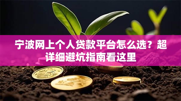 宁波网上个人贷款平台怎么选？超详细避坑指南看这里