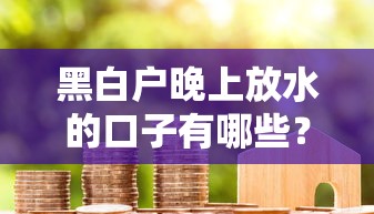 黑白户晚上放水的口子有哪些？揭秘夜间贷款审核窍门