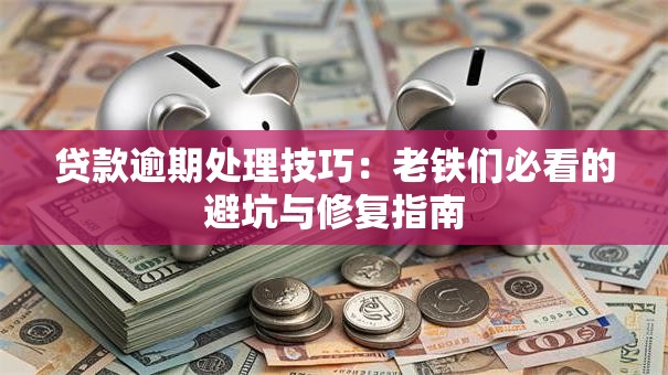 贷款逾期处理技巧：老铁们必看的避坑与修复指南