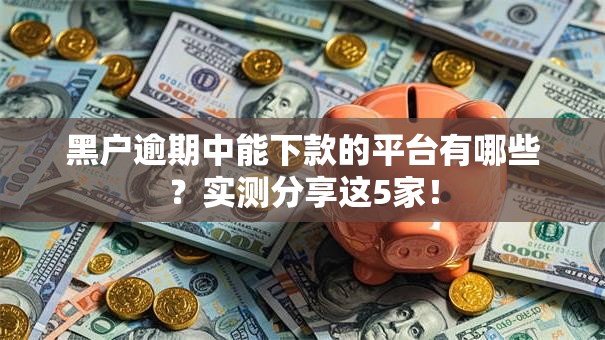 黑户逾期中能下款的平台有哪些？实测分享这5家！