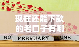 现在还能下款的老口子有哪些？这几种渠道别错过！