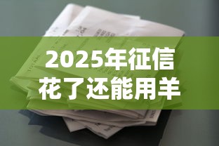 2025年征信花了还能用羊小咩借款吗？实测分享避坑经验
