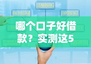 哪个口子好借款？实测这5个正规平台通过率高且靠谱