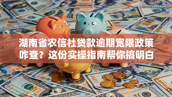 湖南省农信社贷款逾期宽限政策咋查？这份实操指南帮你搞明白