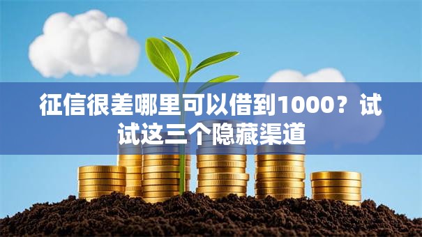 征信很差哪里可以借到1000？试试这三个隐藏渠道