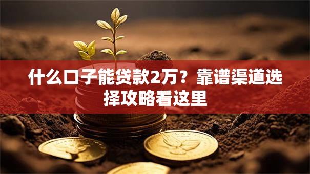 什么口子能贷款2万？靠谱渠道选择攻略看这里