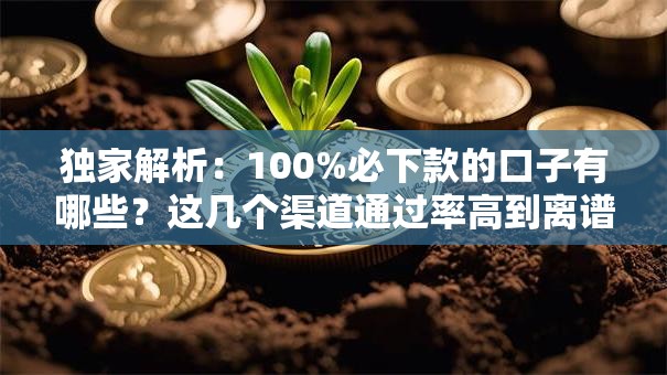 独家解析：100%必下款的口子有哪些？这几个渠道通过率高到离谱