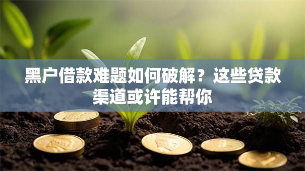 黑户借款难题如何破解？这些贷款渠道或许能帮你