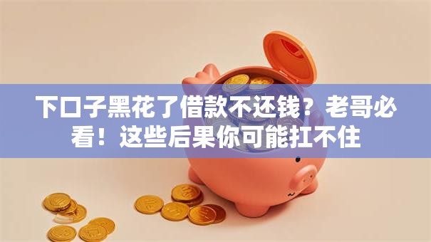 下口子黑花了借款不还钱？老哥必看！这些后果你可能扛不住