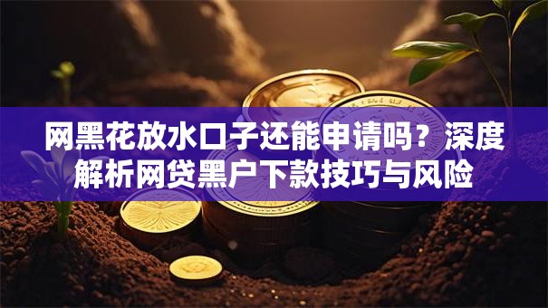 网黑花放水口子还能申请吗？深度解析网贷黑户下款技巧与风险