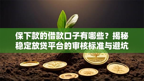 保下款的借款口子有哪些？揭秘稳定放贷平台的审核标准与避坑指南