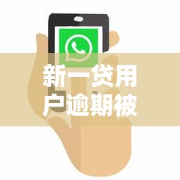 新一贷用户逾期被起诉真实案例解析：如何避免踩坑？