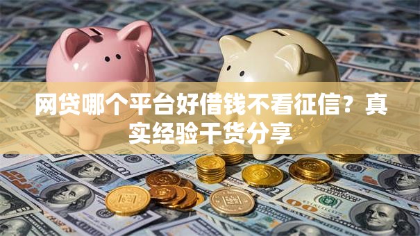 网贷哪个平台好借钱不看征信？真实经验干货分享