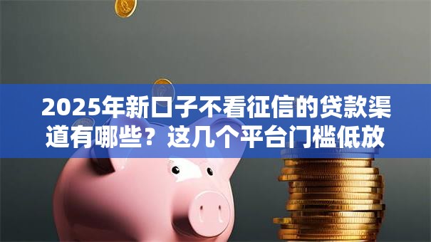 2025年新口子不看征信的贷款渠道有哪些？这几个平台门槛低放款快