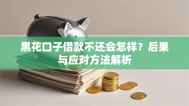 黑花口子借款不还会怎样？后果与应对方法解析