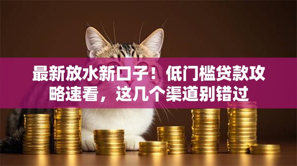 最新放水新口子！低门槛贷款攻略速看，这几个渠道别错过