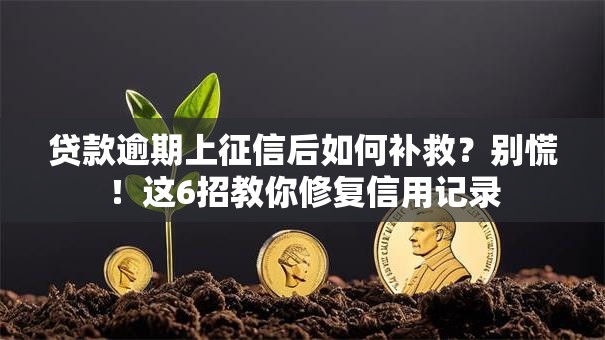 贷款逾期上征信后如何补救？别慌！这6招教你修复信用记录