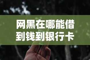 网黑在哪能借到钱到银行卡？这几个渠道可能管用