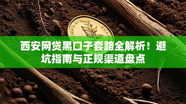 西安网贷黑口子套路全解析！避坑指南与正规渠道盘点