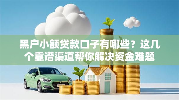 黑户小额贷款口子有哪些？这几个靠谱渠道帮你解决资金难题