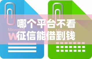 哪个平台不看征信能借到钱？试试这些靠谱渠道！