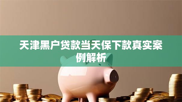 天津黑户贷款当天保下款真实案例解析