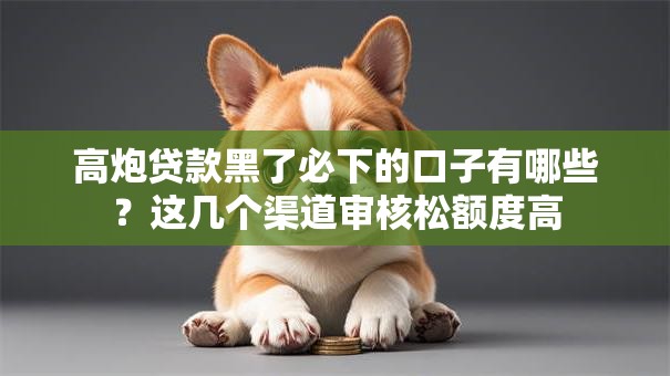 高炮贷款黑了必下的口子有哪些？这几个渠道审核松额度高
