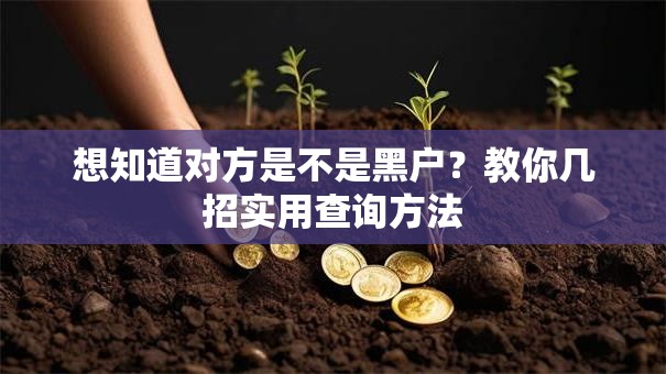 想知道对方是不是黑户？教你几招实用查询方法