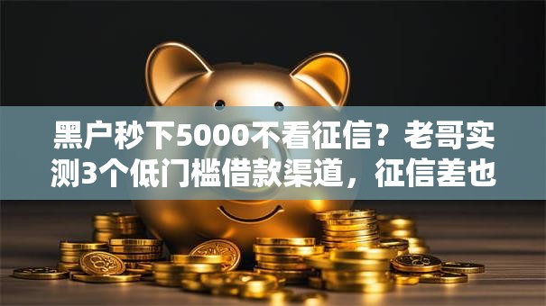 黑户秒下5000不看征信？老哥实测3个低门槛借款渠道，征信差也能快速到账！