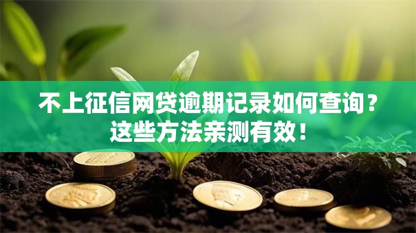 不上征信网贷逾期记录如何查询？这些方法亲测有效！