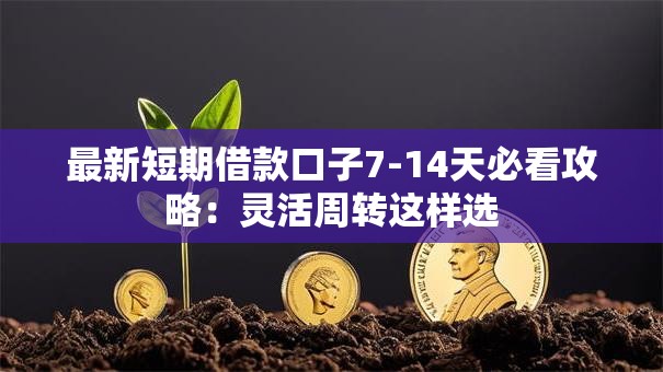 最新短期借款口子7-14天必看攻略：灵活周转这样选