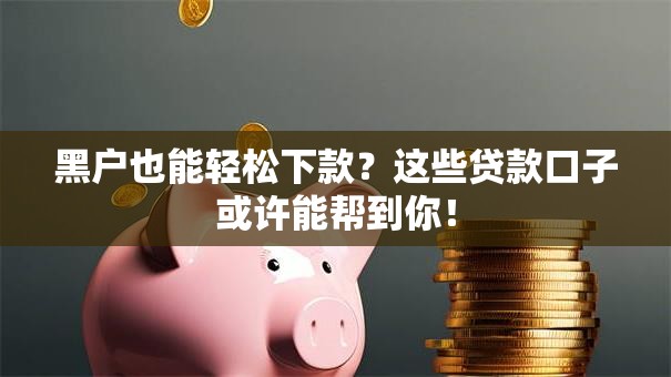 黑户也能轻松下款？这些贷款口子或许能帮到你！