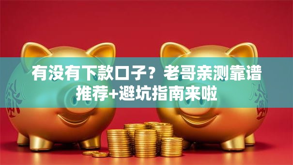 有没有下款口子？老哥亲测靠谱推荐+避坑指南来啦