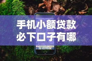 手机小额贷款必下口子有哪些？这几个平台审核松、下款快