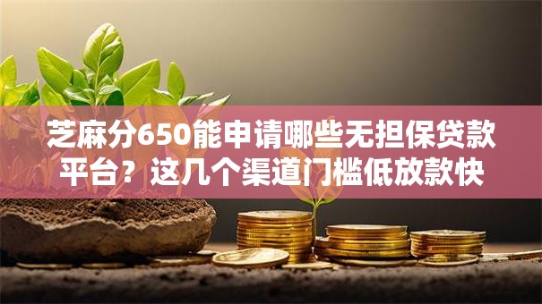 芝麻分650能申请哪些无担保贷款平台？这几个渠道门槛低放款快