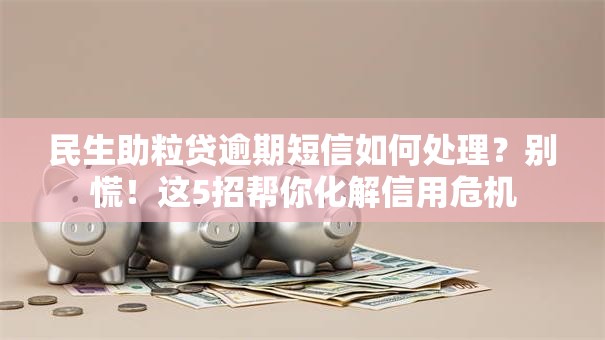 民生助粒贷逾期短信如何处理？别慌！这5招帮你化解信用危机