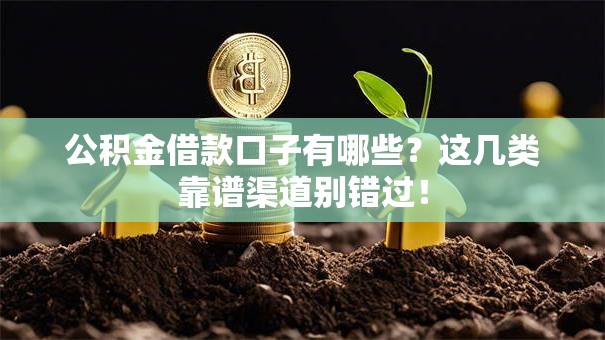 公积金借款口子有哪些？这几类靠谱渠道别错过！