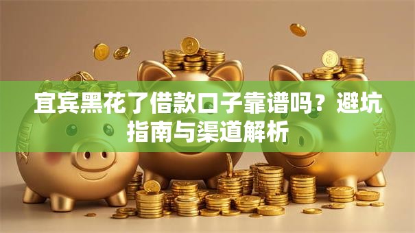 宜宾黑花了借款口子靠谱吗？避坑指南与渠道解析