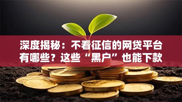 深度揭秘：不看征信的网贷平台有哪些？这些“黑户”也能下款的口子要当心！