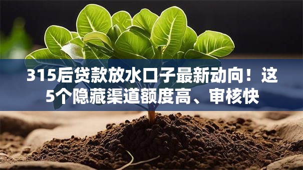 315后贷款放水口子最新动向！这5个隐藏渠道额度高、审核快