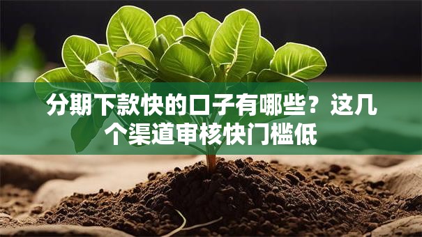 分期下款快的口子有哪些？这几个渠道审核快门槛低