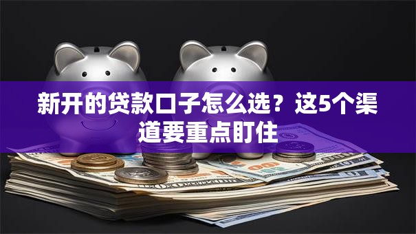 新开的贷款口子怎么选？这5个渠道要重点盯住