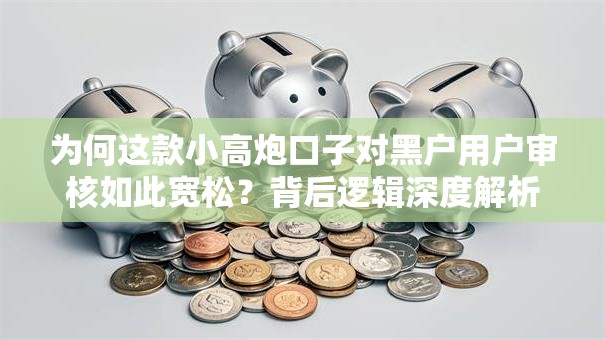 为何这款小高炮口子对黑户用户审核如此宽松？背后逻辑深度解析