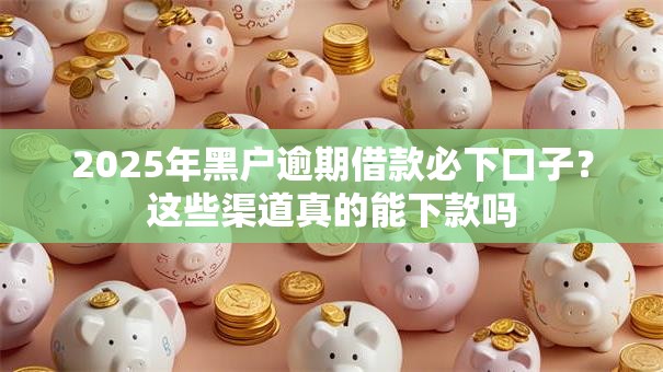 2025年黑户逾期借款必下口子？这些渠道真的能下款吗
