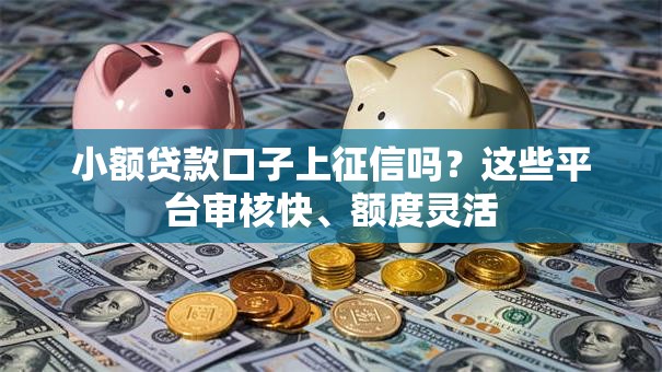 小额贷款口子上征信吗？这些平台审核快、额度灵活