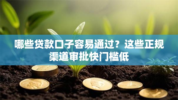 哪些贷款口子容易通过？这些正规渠道审批快门槛低