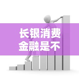 长银消费金融是不是国企？深度解析贷款平台背景与优势
