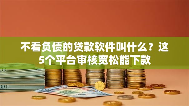不看负债的贷款软件叫什么？这5个平台审核宽松能下款