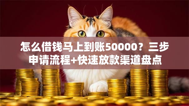 怎么借钱马上到账50000？三步申请流程+快速放款渠道盘点